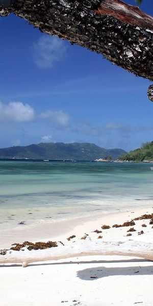 Breathtaking beach wallpaper featuring tranquil waters and lush landscapes