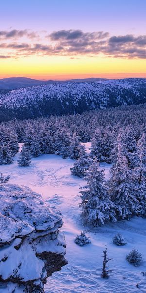 Phone wallpaper: Landscape, Winter, Sunset, Snow, Mountain, Forest, Earth, Czech Republic free downl