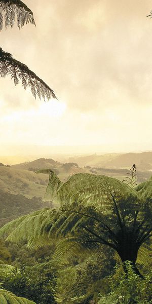 Phone wallpaper: Earth, Landscape free download