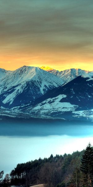 Serene Mountain Landscape Mobile Wallpaper: Fog, Forests, and Majestic Peaks