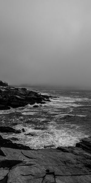 Breathtaking Black and White Ocean Landscape with Trees and Rocks