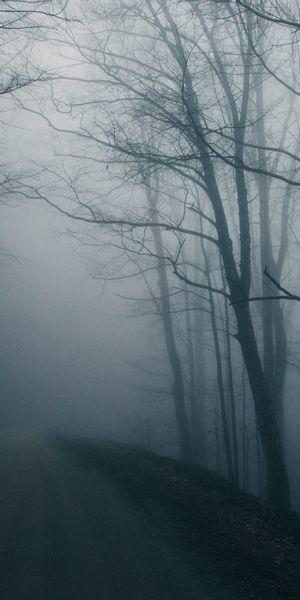 Mysterious Foggy Road Wallpaper: Embrace Nature's Gloomy Beauty