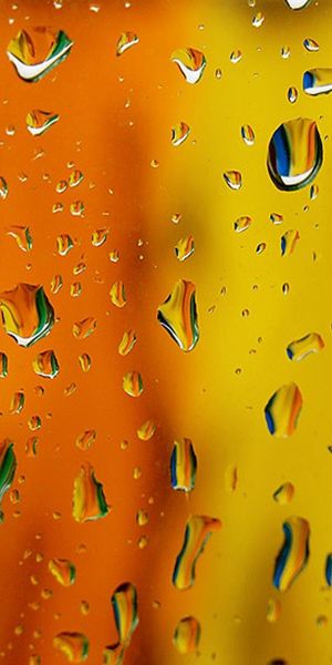 Multicolored Drops on Textured Surface