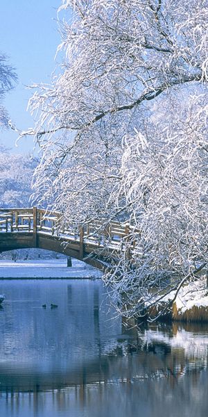 Beautiful Winter Scene Featuring a Snow-Covered Bridge