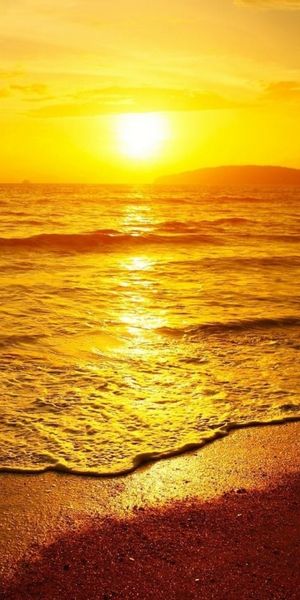 Phone wallpaper: Sunset, Sky, Beach, Horizon, Ocean, Earth, Orange (Color) free download