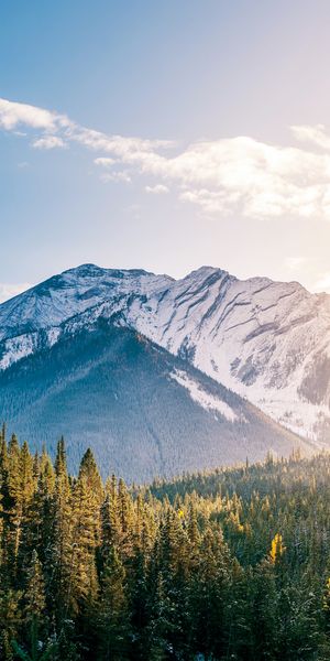 Phone wallpaper: Mountains, Mountain, Forest, Earth, Cloud free download