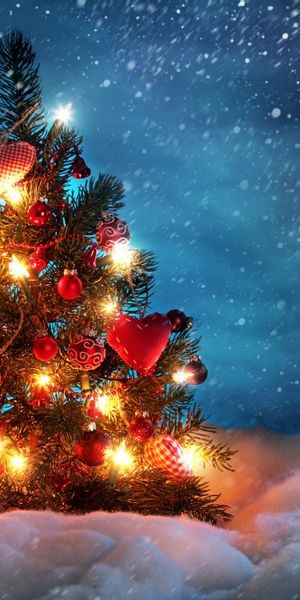 Beautiful Christmas Tree Decorated with Lights and Ornaments in Snow