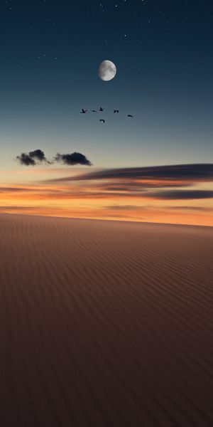 Breathtaking Desert Scene Under a Starry Sky with a Full Moon