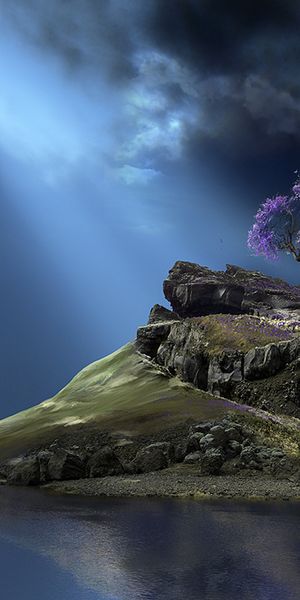 Enchanting phone wallpaper of a solitary tree on a tranquil island