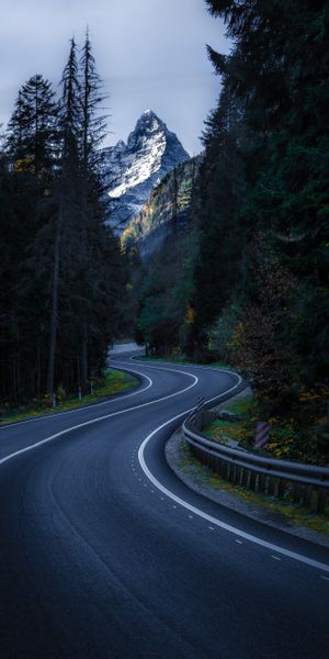 Winding Mountain Road Surrounded by Majestic Trees