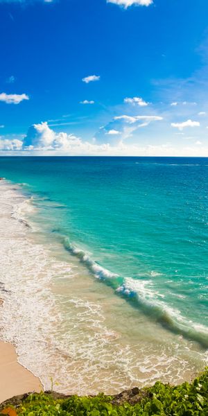 Breathtaking Tropical Beach Scene - Perfect Mobile Wallpaper
