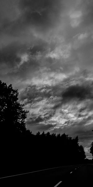4K Wallpaper of a Darkly Atmospheric Road Surrounded by Trees