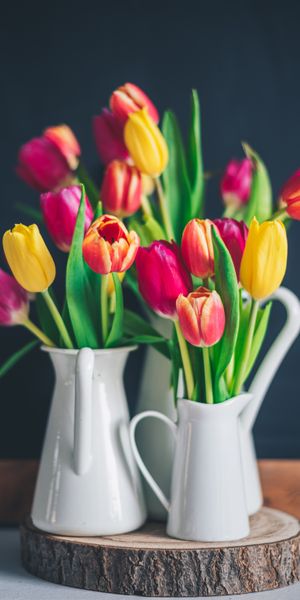 Charming Multicolored Tulip Wallpaper: A Floral Delight for Your Space