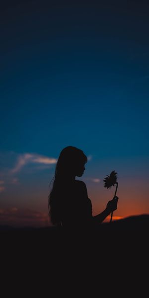 Beautiful Silhouette of a Girl Holding a Sunflower at Sunset