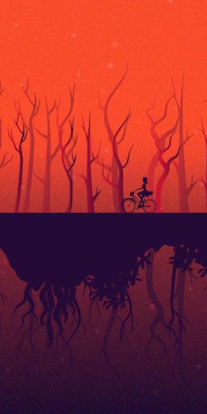 Enchanting 4K Phone Wallpaper: Bicycle in a Reflective Forest at Sunset