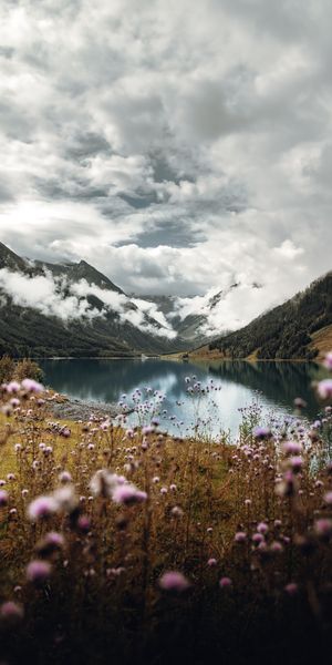 Breathtaking Nature Scene with Wildflowers and Majestic Mountains