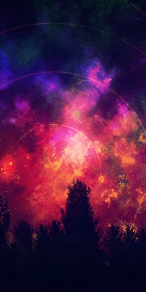 Phone wallpaper: Outlines, Wood, Tree, Starry Sky, Motley, Multicolored, Bright, Dark free download