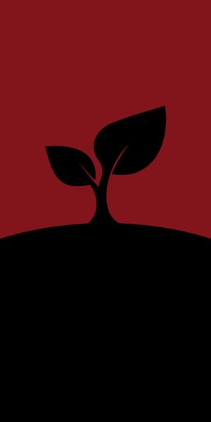 Minimalist Leaf on Dark Background for Mobile Wallpaper