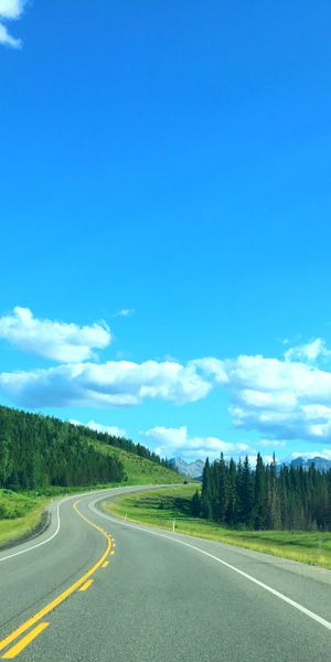 Curved Road Surrounded by Nature - Perfect Phone Wallpaper