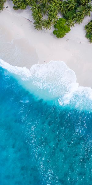 Aerial View of the Maldives: A Tropical Paradise