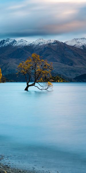 Serene Lake with Snow-Covered Mountains in the Background