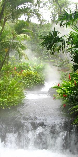 Serene Waterfall Flowing Through Lush Greenery