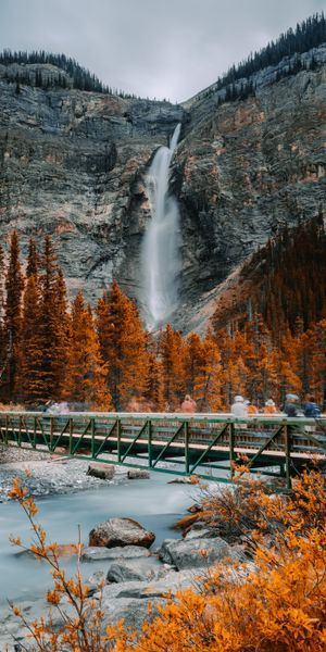 Breathtaking Waterfall and Bridge in Enchanted Forest
