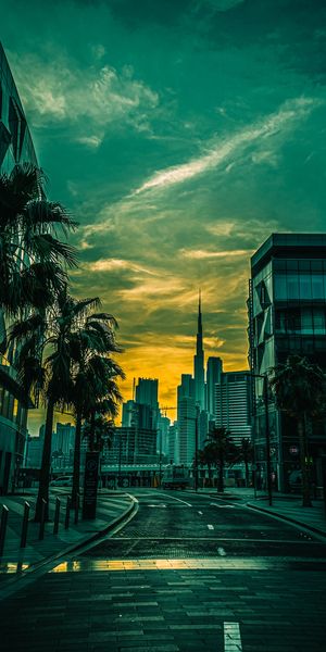 Urban Sunset with Palms and Skyscrapers