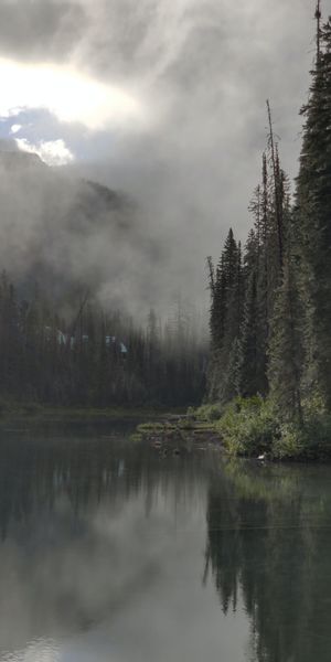 Enchanting phone wallpaper featuring a foggy forest and tranquil river