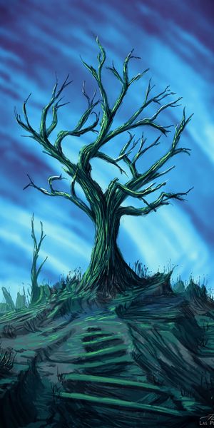 Phone wallpaper: Branches, Dry, Wood, Tree, Path, Trail, Art free download