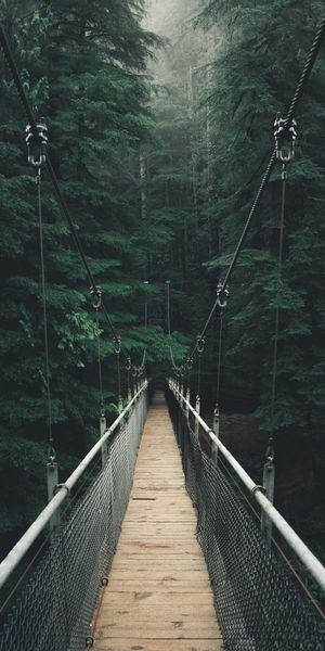 Serene Foggy Suspension Bridge in a Lush Green Forest