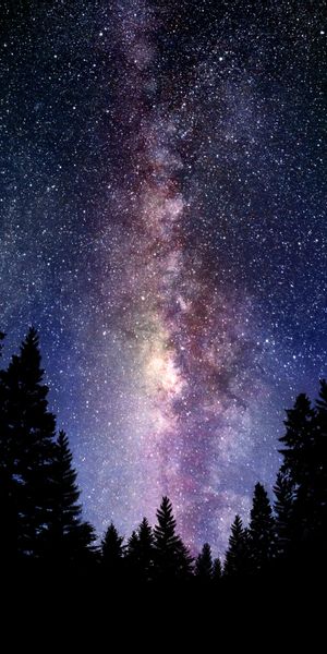 Breathtaking Night Sky Filled with Stars and the Milky Way
