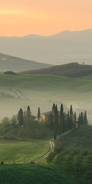 Breathtaking Foggy Landscape with Trees and Mountains