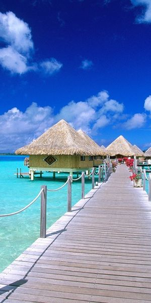 Tropical Paradise: Blue Sea and Scenic Bridges