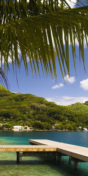 Phone wallpaper: Landscape, Mountains, Sea, Palms, Beach free download