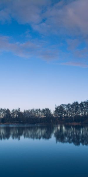 Phone wallpaper: Reflection, Rivers, Trees, Lake, Nature free download