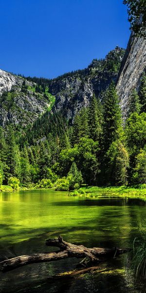 High-Quality Phone Wallpaper of Yosemite National Park's Serene Landscape