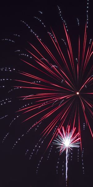 Vibrant Fireworks Display in a Dark Night Sky