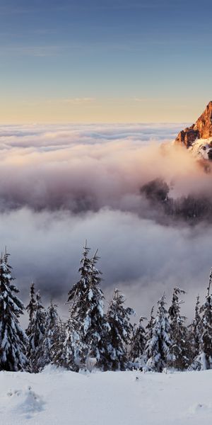 Breathtaking Snow-Capped Mountain Peak in a Sea of Clouds at Sunset
