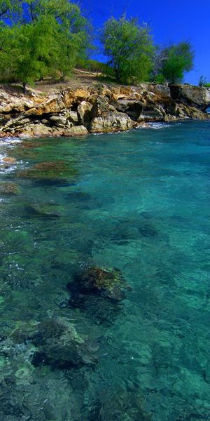 A Serene Beach Scene with Crystal Clear Waters