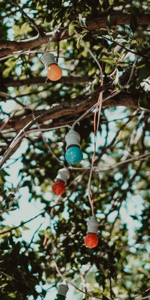 Colorful Garland of Lights on Tree Branches