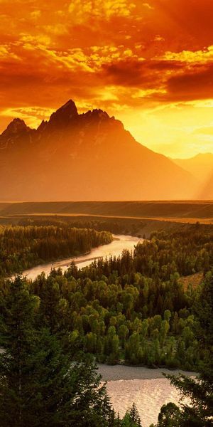 Breathtaking Sunset Over a Tranquil Forest and River