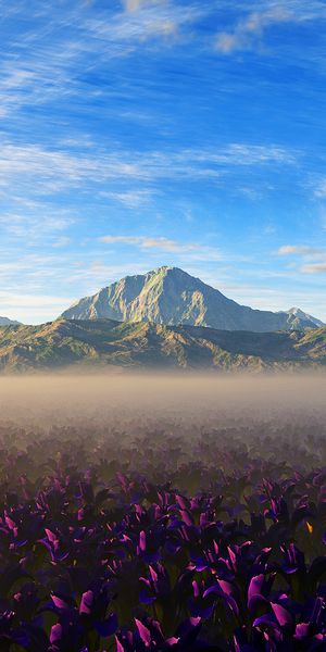 Breathtaking Pink Flower Field with Scenic Mountain Backdrop