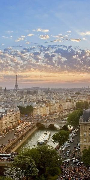 Breathtaking Paris skyline with a gargoyle at sunset - phone wallpaper