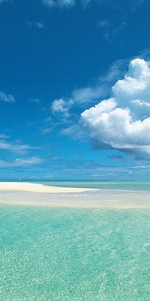 Tropical Beach Horizon with Clear Ocean View
