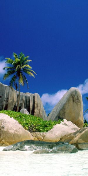 Beautiful Tropical Beach with Palm Trees and Turquoise Ocean