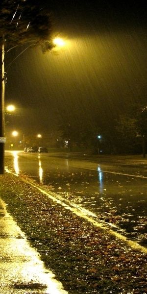 Captivating Nighttime Rainy Road Scene - Free iPhone Wallpaper
