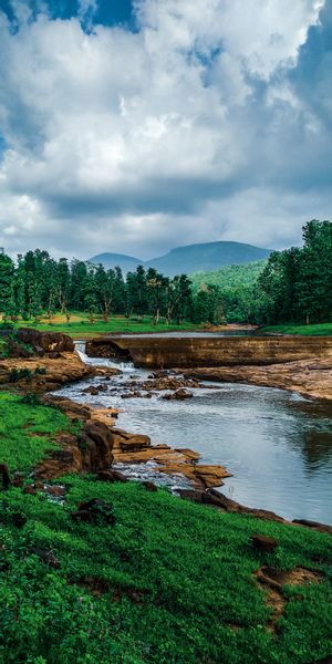 Mountain Landscape with River and Lush Greenery