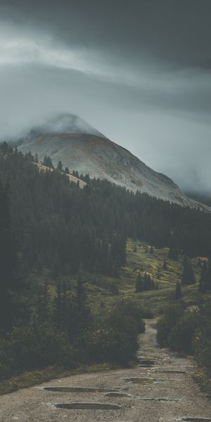 Phone wallpaper: Slope, Fog, Trees, Nature, Mountains free download