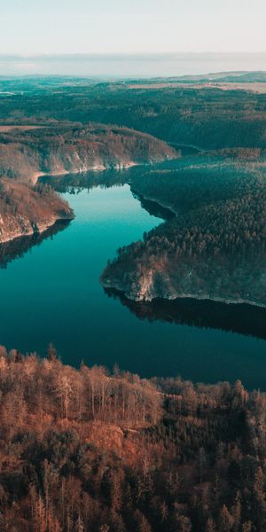 Phone wallpaper: Dahl, Distance, Winding, Rivers, Forest, Nature, Trees, Sinuous free download